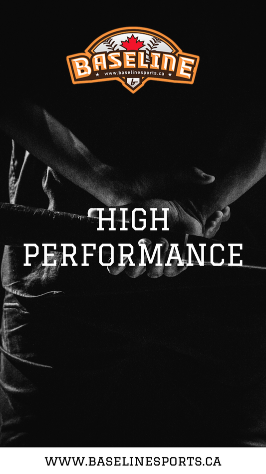 HIGH PERFORMANCE PROGRAM (PRIVATE PROGRAM)