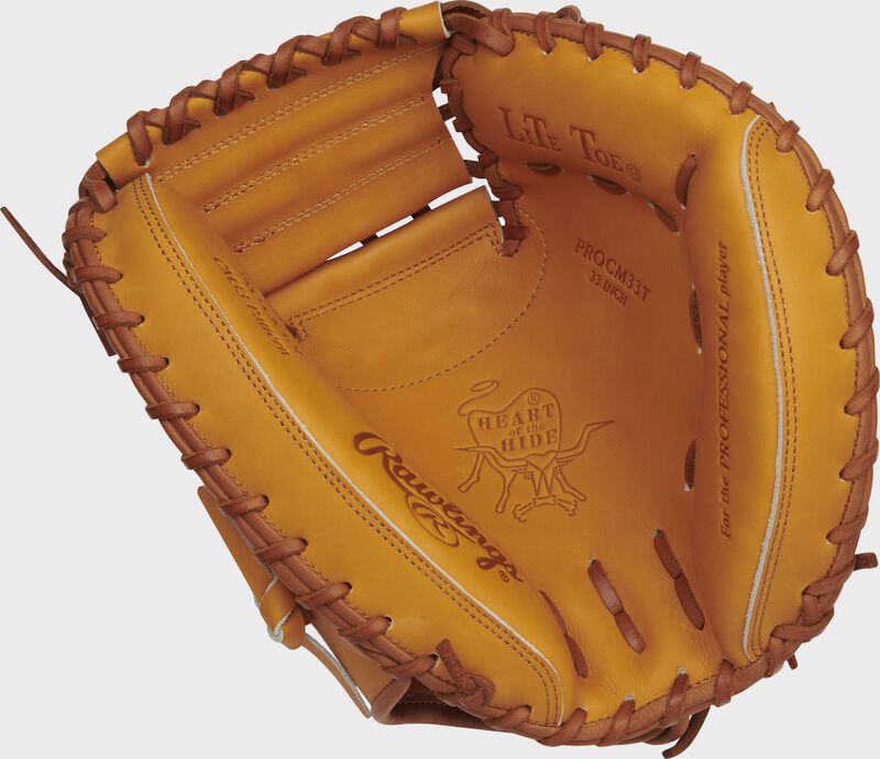 Rawlings Catcher's Mitt