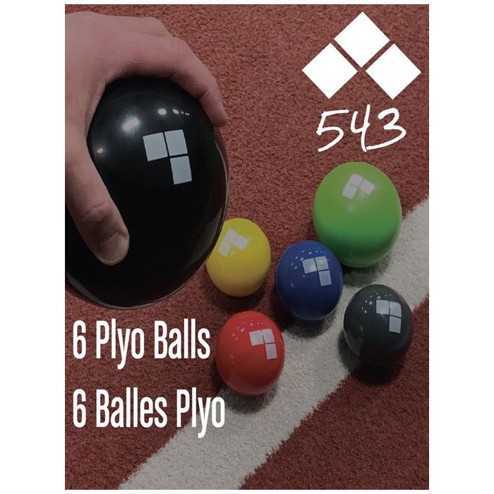 543 Plyo Training Ball Set